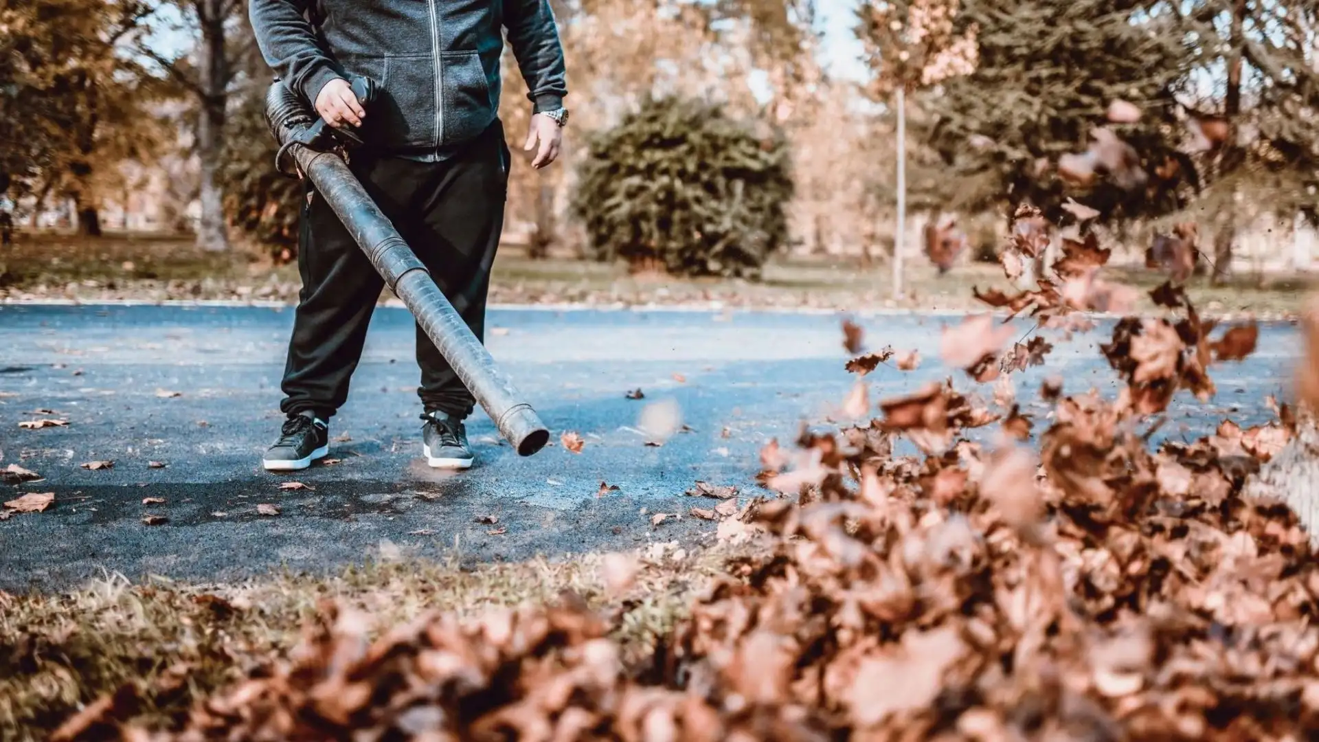 Steps to clean leaf blower when wet