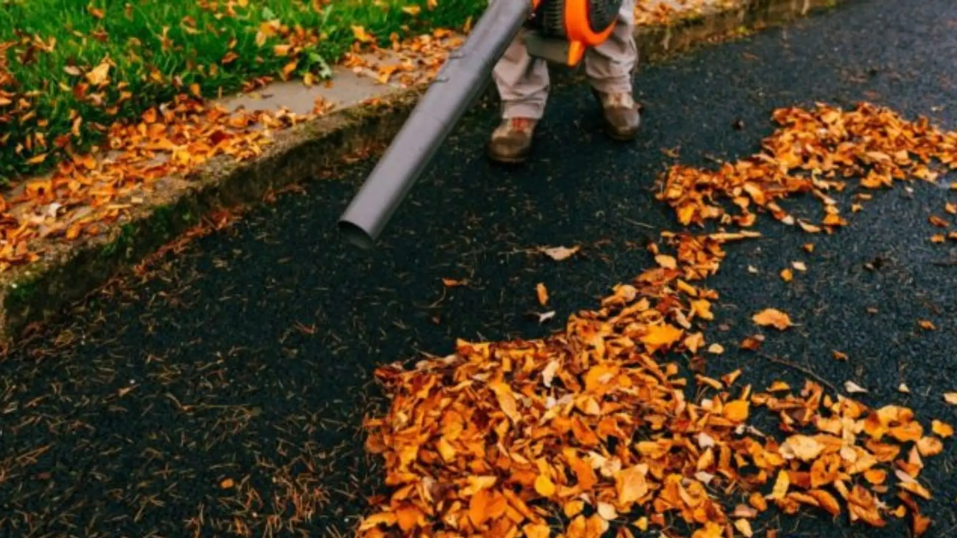 What should I do if the leaf blower gets wet