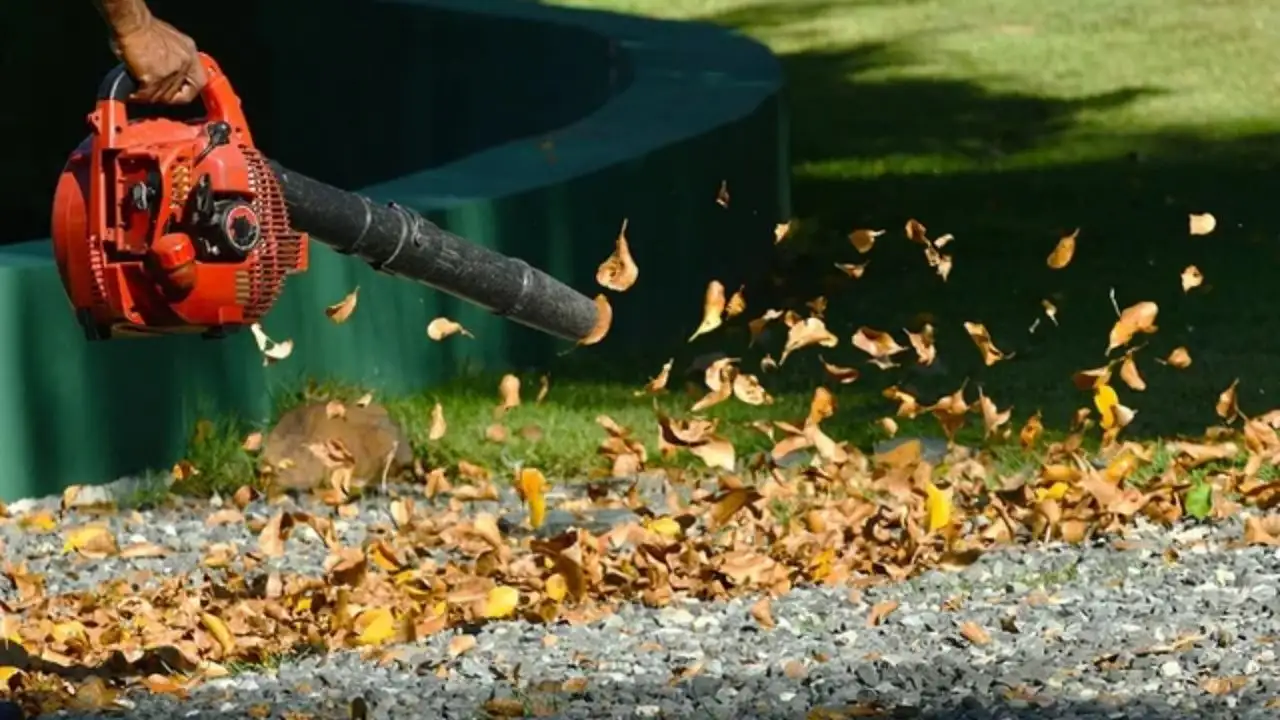 Why can't you use a leaf blower to dry dog hair