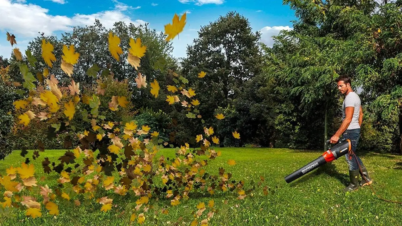 Are There Silencers for Leaf Blowers