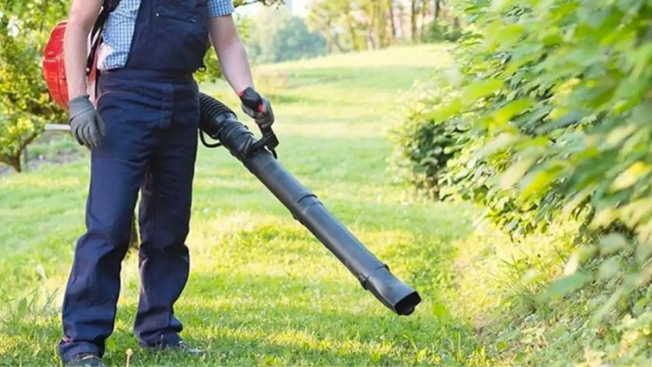 Best Practices for Quieter Leaf Blower Operation