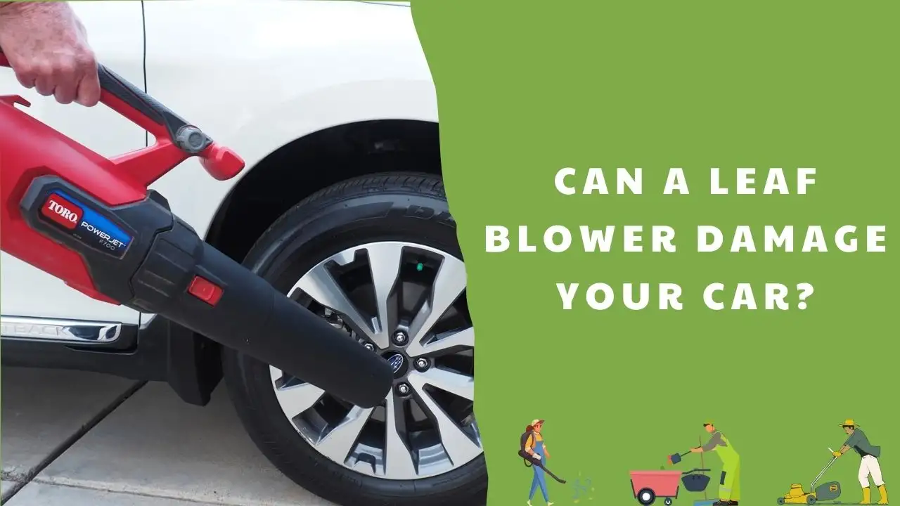 Can A Leaf Blower Damage Your Car_ What Every Car Owner Should Know