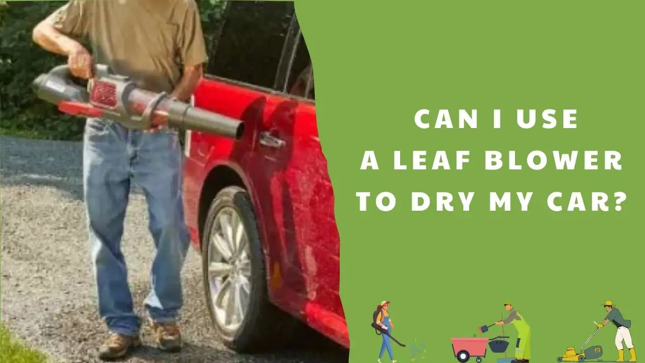 Can I use a leaf blower to dry my car