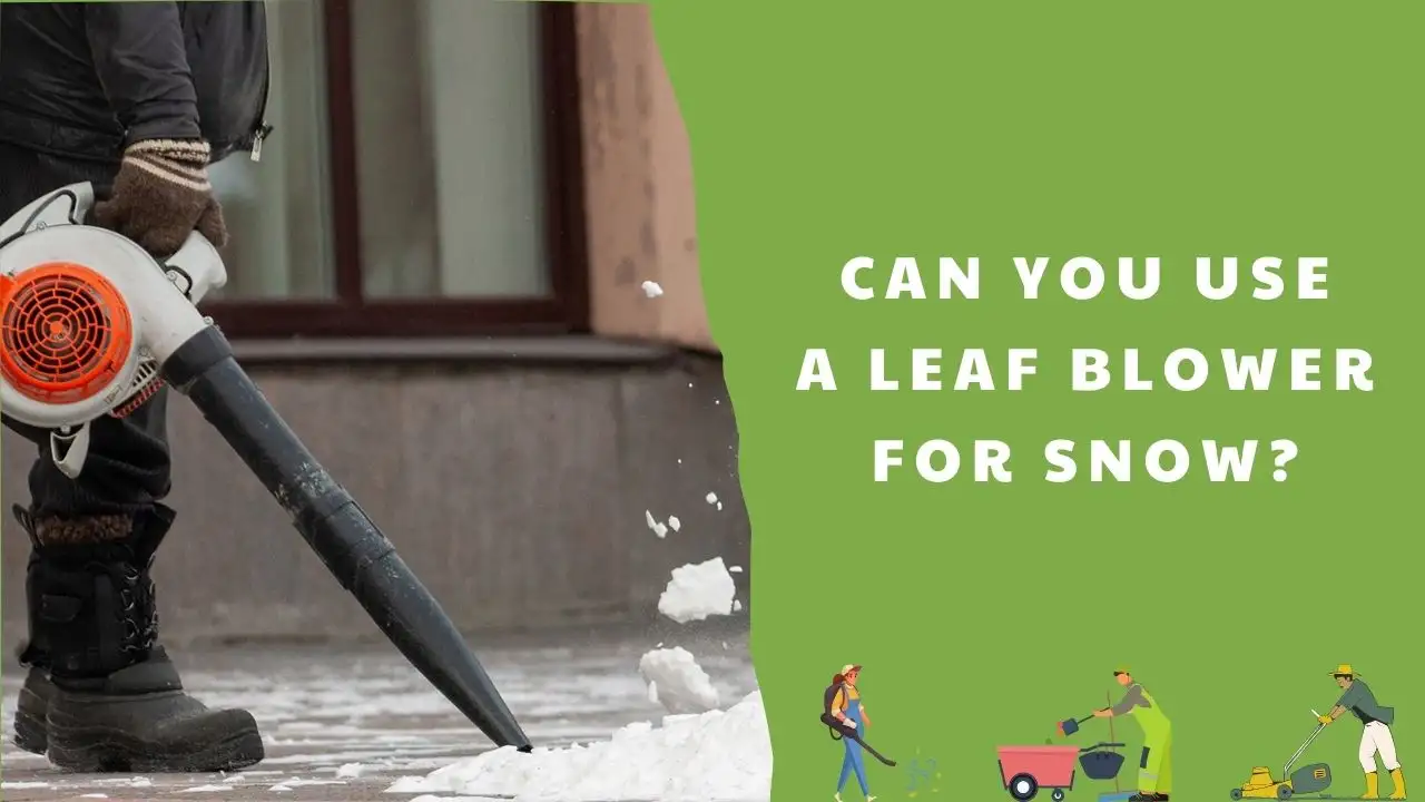 Can You Use a Leaf Blower for Snow_ The Ultimate Guide