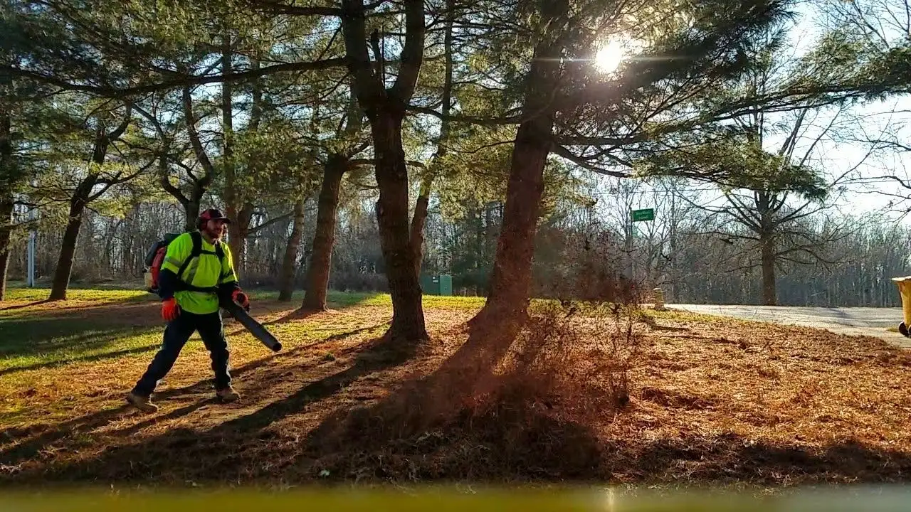 Can a leaf blower blow pine needles