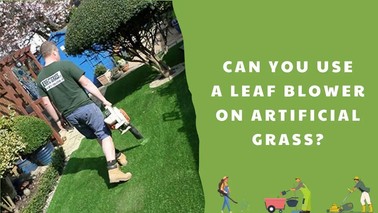 Can you use a leaf blower on artificial grass_ All things to know