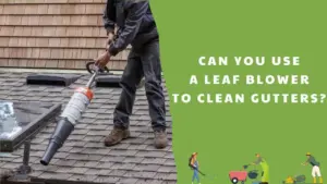 Can you use a leaf blower to clean gutters_ All Things To Know