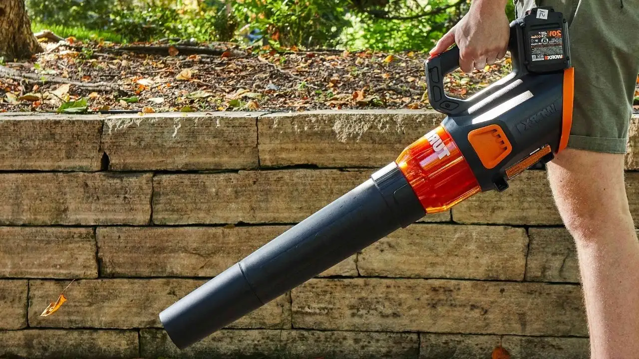 Considerations Before Using a Leaf Blower