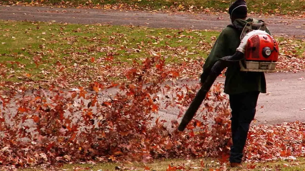 How Do You Get a Safe-to-Use Leaf Blower