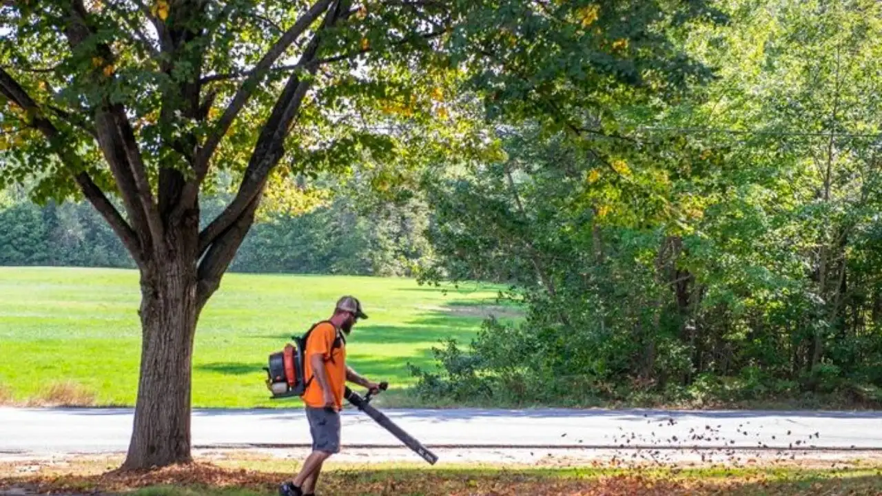 How do I maintain my leaf blower after using it on pine needles