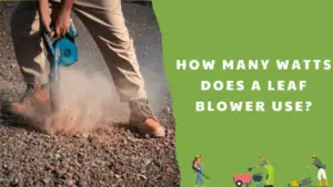 How many watts does a leaf blower use_ All things to know