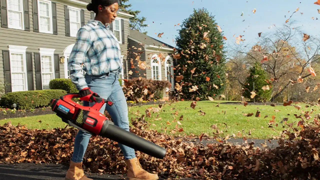 Leaf Blower