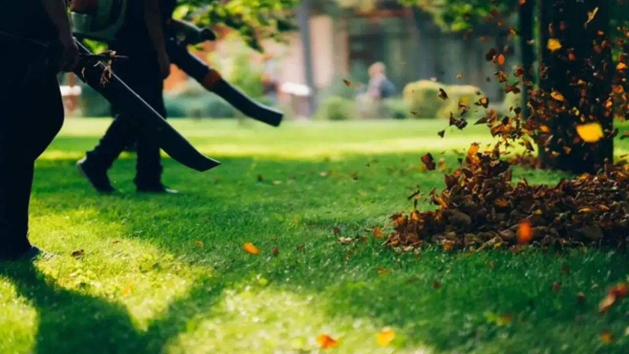 What are the benefits of using a leaf blower on artificial grass