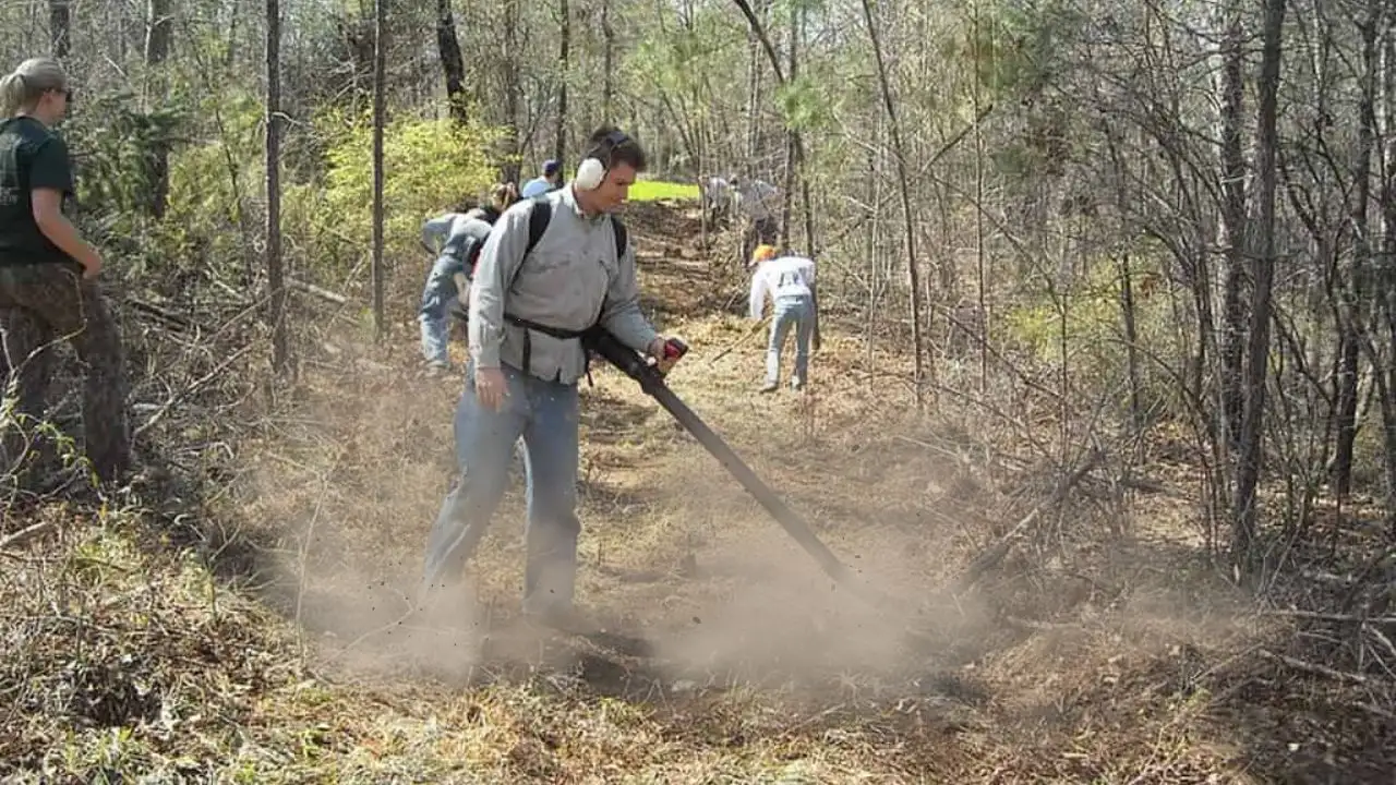 What causes leaf blowers to smoke