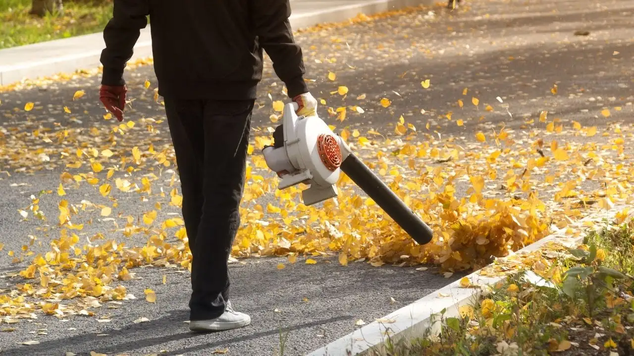 What injuries can leaf blowers cause