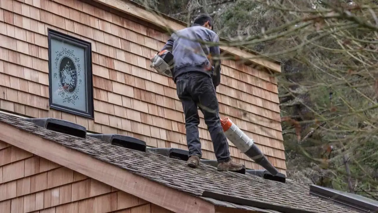 Why Consider Using a Leaf Blower