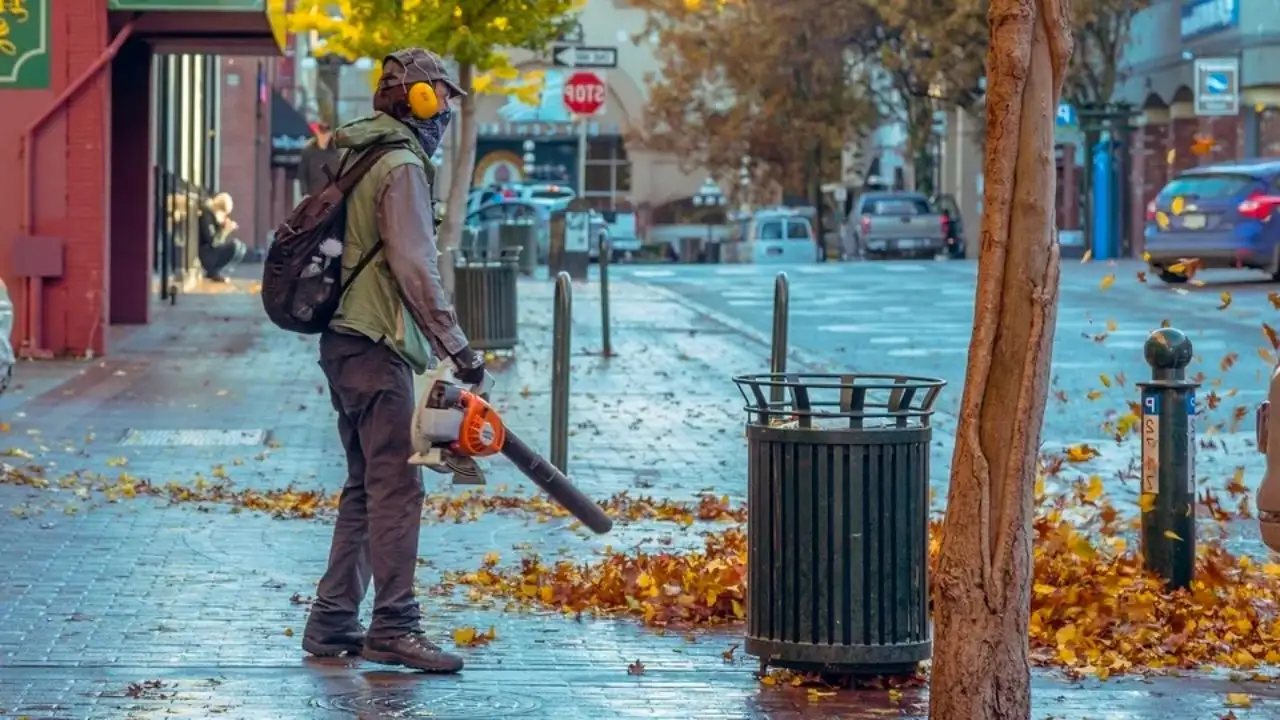 Why Do Leaf Blowers Have to Be So Loud