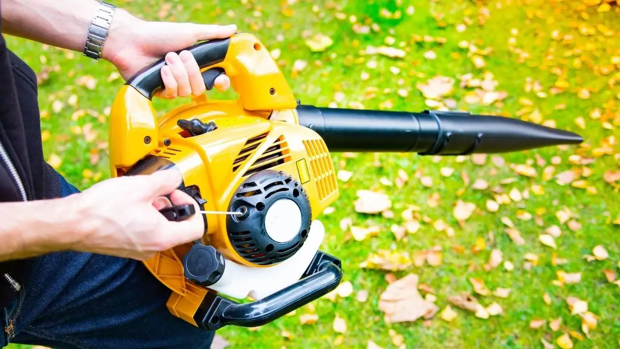 Why a Leaf Blower is the Ideal Solution