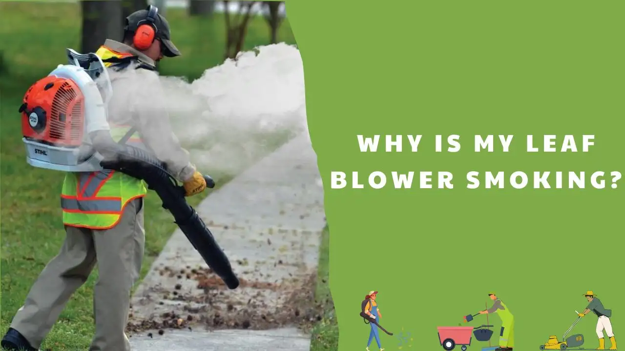 Why is my leaf blower smoking